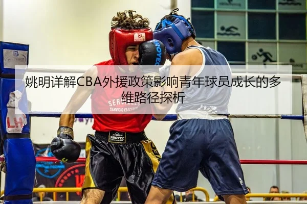 yao-ming-xiang-jie-wai-yuan-zheng-ce-ying-xiang-qing-nian-qiu-yuan-cheng-zhang-de-duo-wei-lu-jing-tan-xi-2-479.jpg